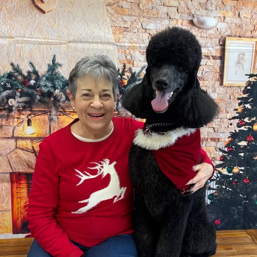 Elice with poodle in a holiday sweater
