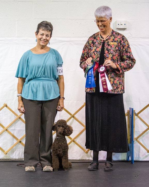 Elice and poodle with show ribbons