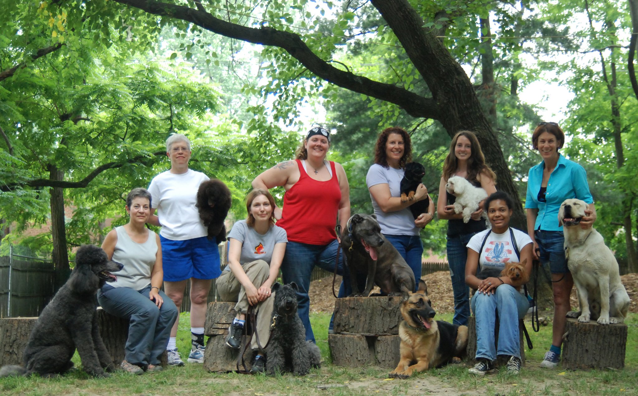 Dog group gathering in the park