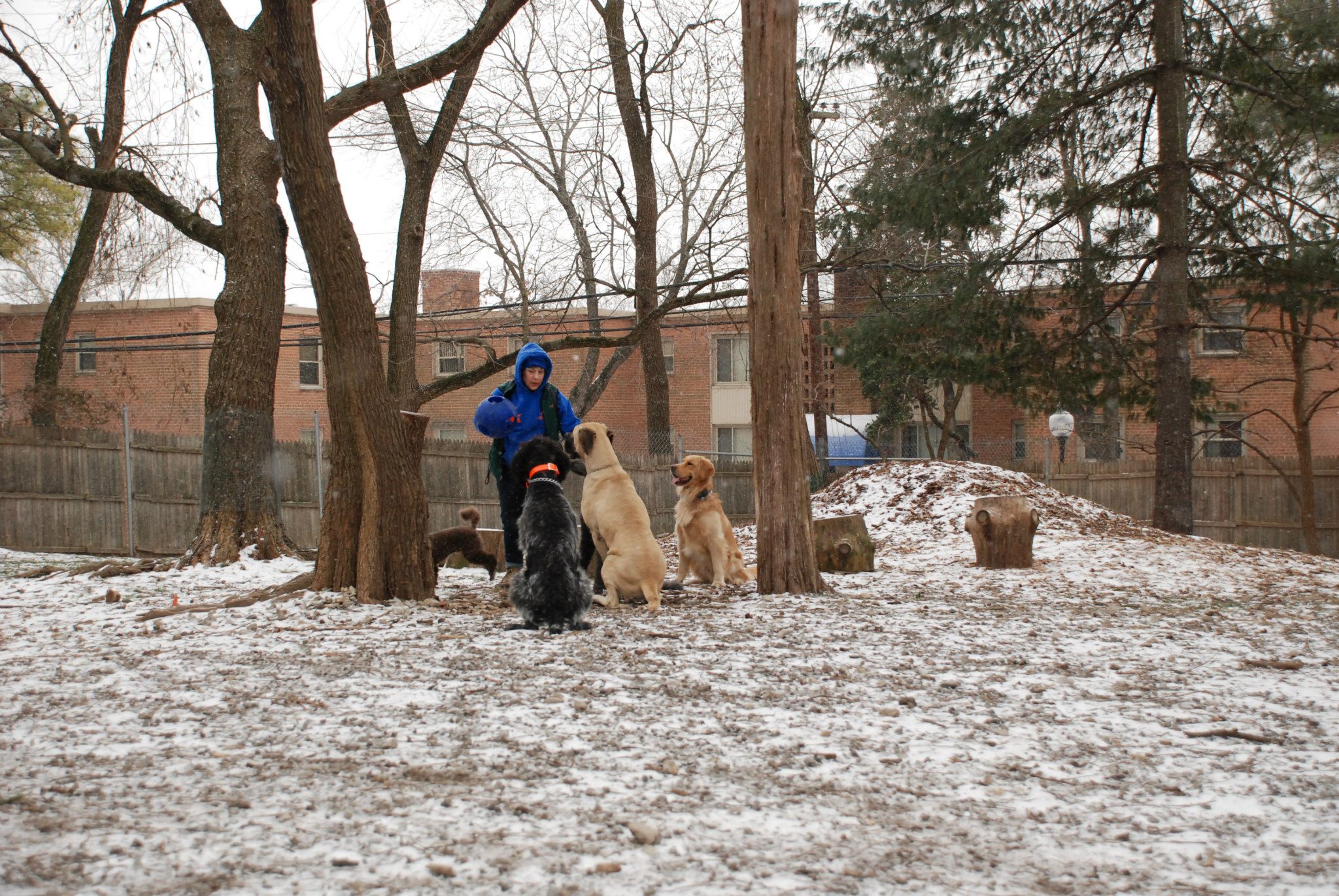 Elice with her dog in the snow