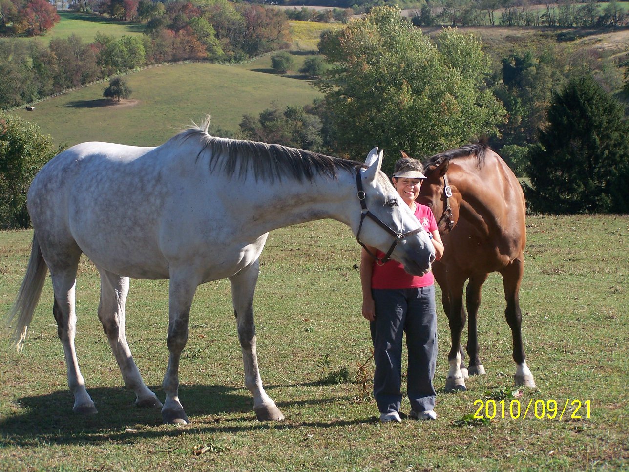 Elice with two horses in a valley
