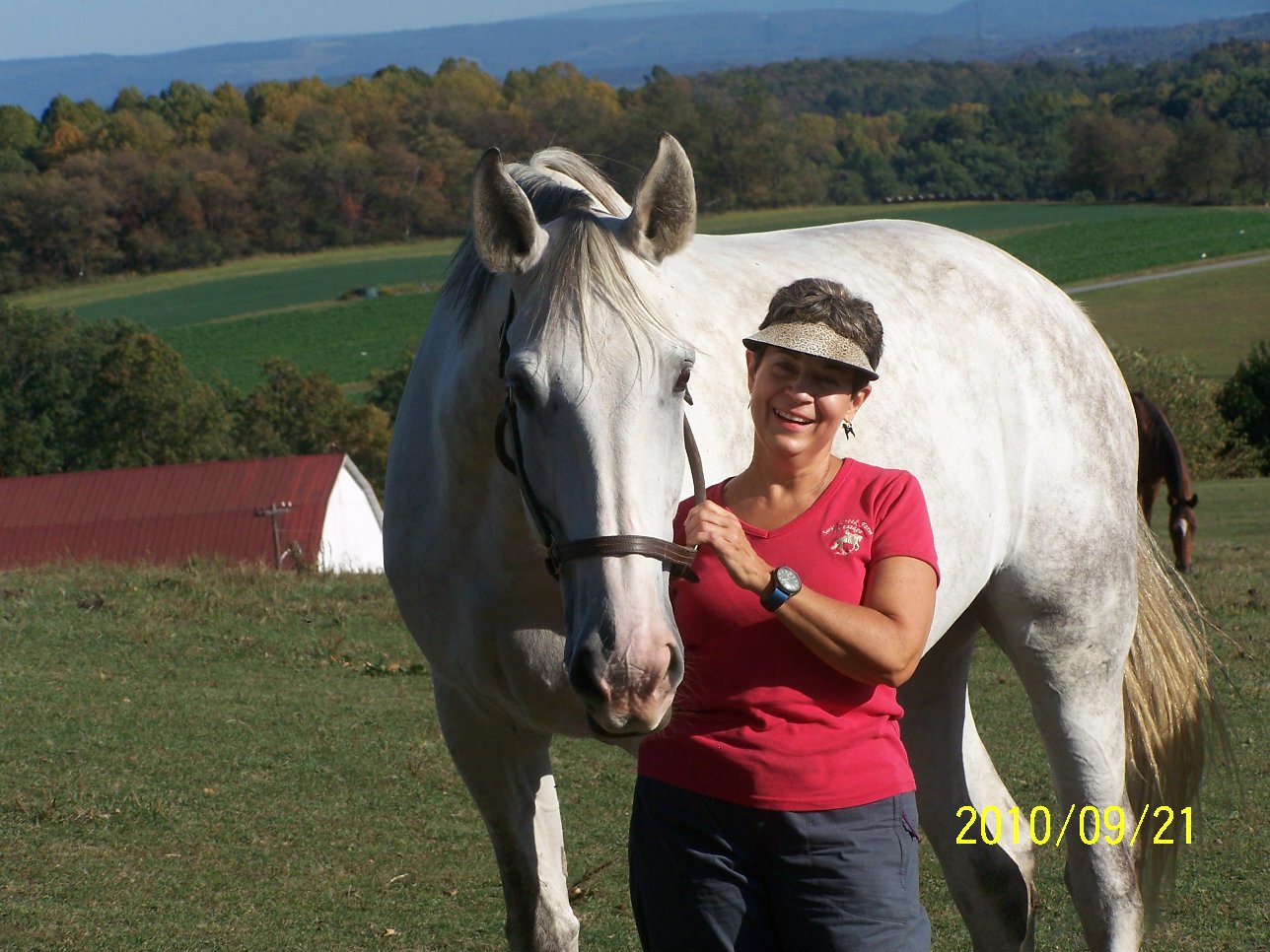 Elice with her white horse in a landscape